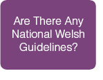 Are There Any National Welsh Guidelines?